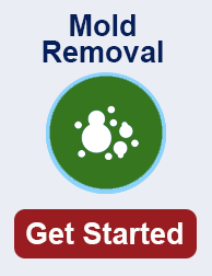 mold remediation in Tustin CA